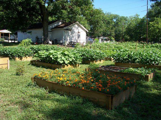 Aunt Katie's Community Garden